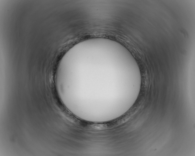 X0000111240711200907020959