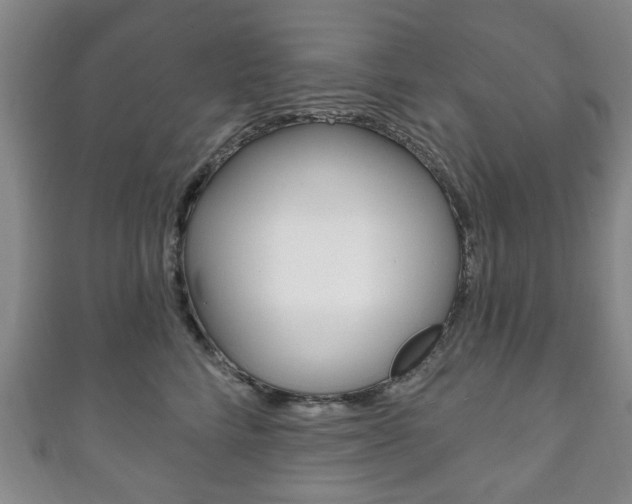 X0000111240712200907020959