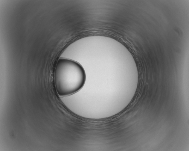 X0000111240713200907020959