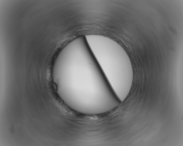 X0000111240715200907020959