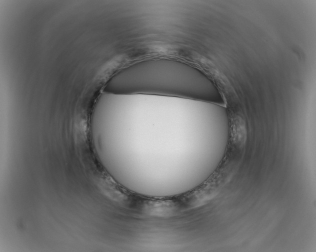 X0000111240716200907020959