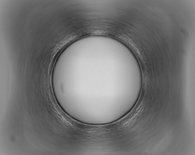 X0000111240721200907020958