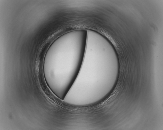 X0000111240722200907020958
