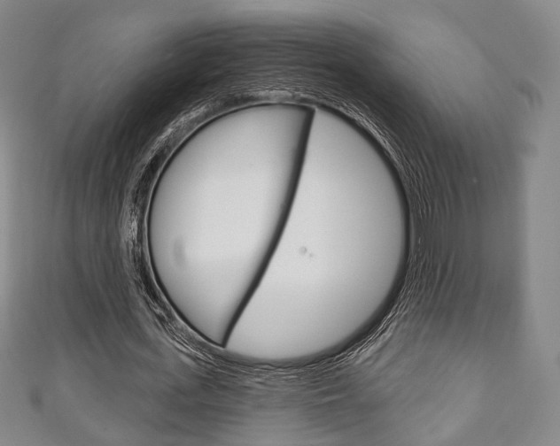 X0000111240723200907020958