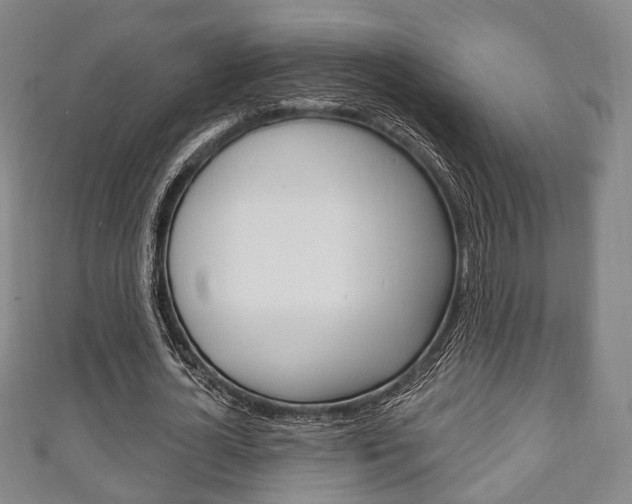 X0000111240724200907020958