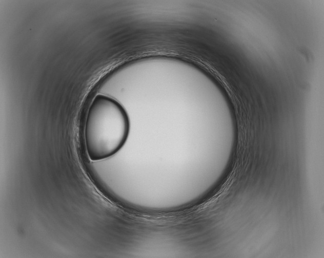 X0000111240725200907020958