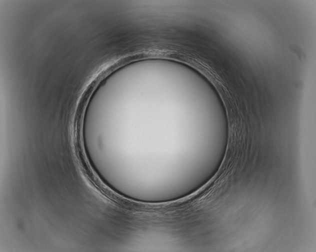 X0000111240726200907020958