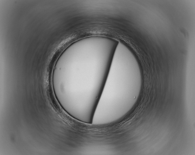 X0000111240727200907020958