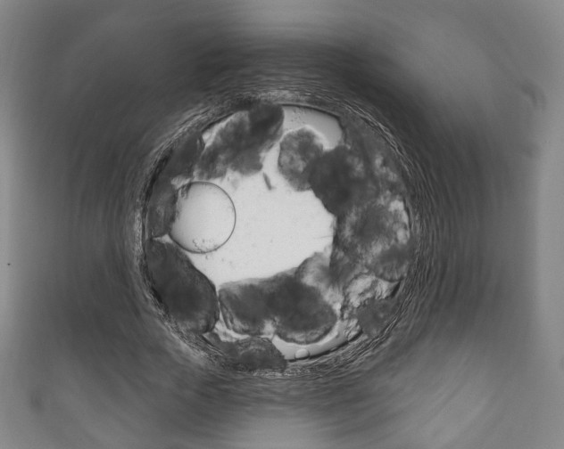 X0000111240729200907020958