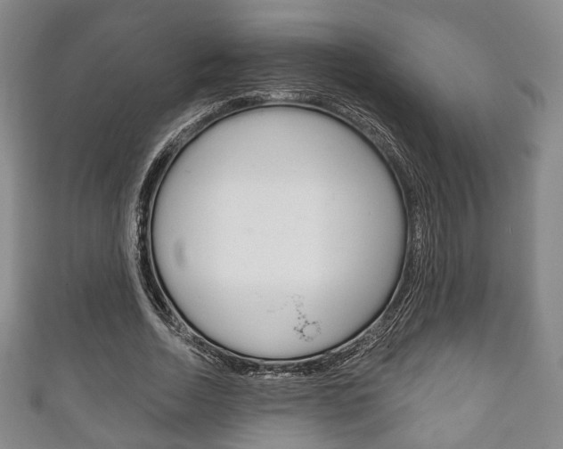 X0000111240730200907020958