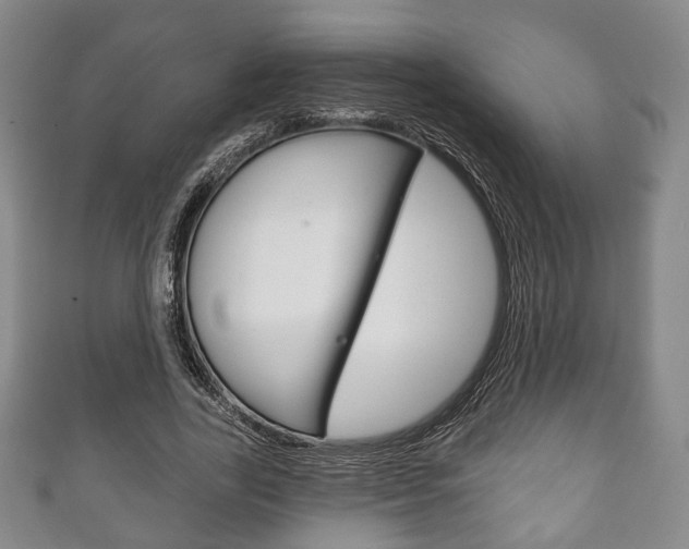 X0000111240731200907020958