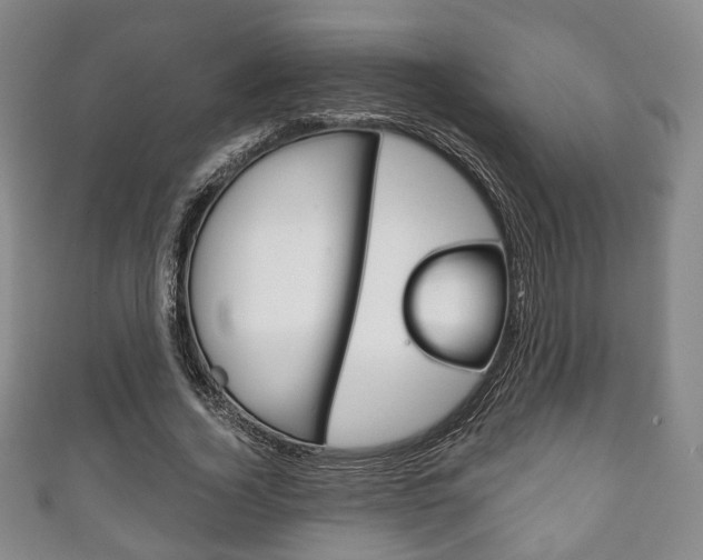 X0000111240732200907020958