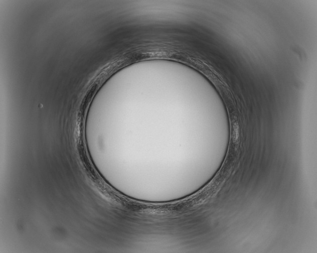 X0000111240733200907020958