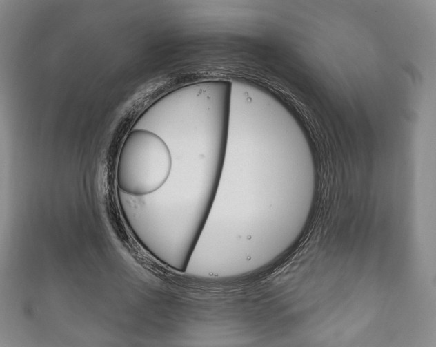 X0000111240734200907020958