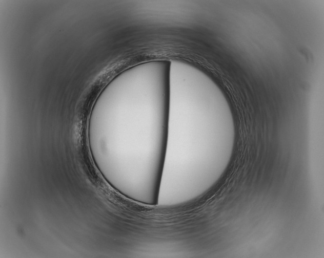X0000111240735200907020958