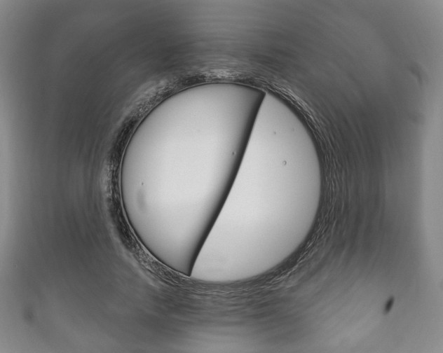 X0000111240738200907020958