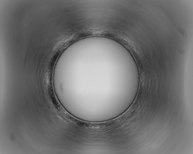 X0000111240740200907020958