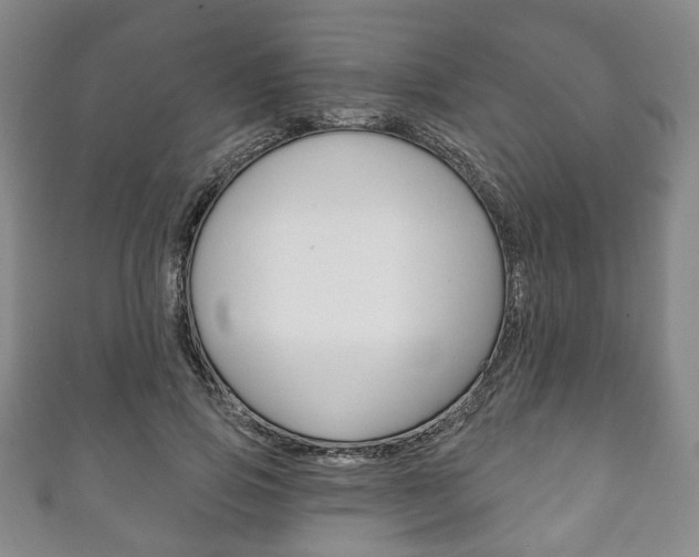 X0000111240741200907020958