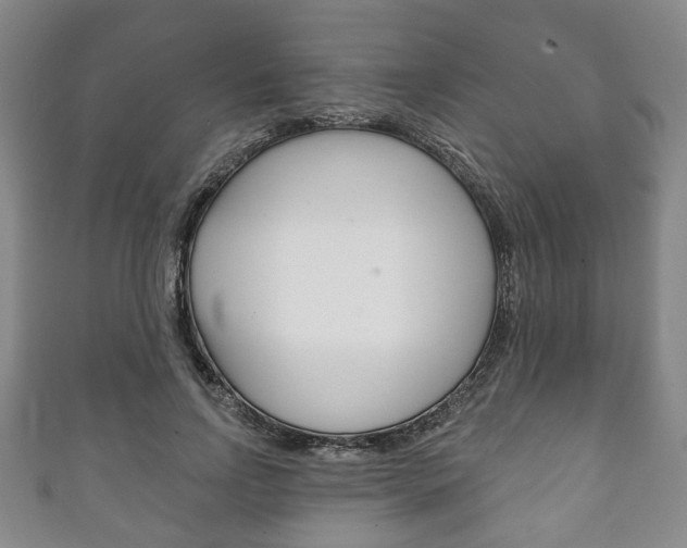 X0000111240742200907020958