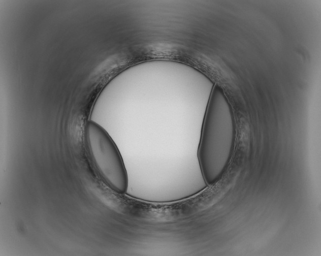 X0000111240744200907020958