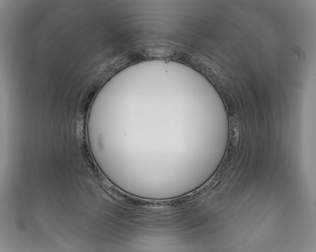 X0000111240745200907020958