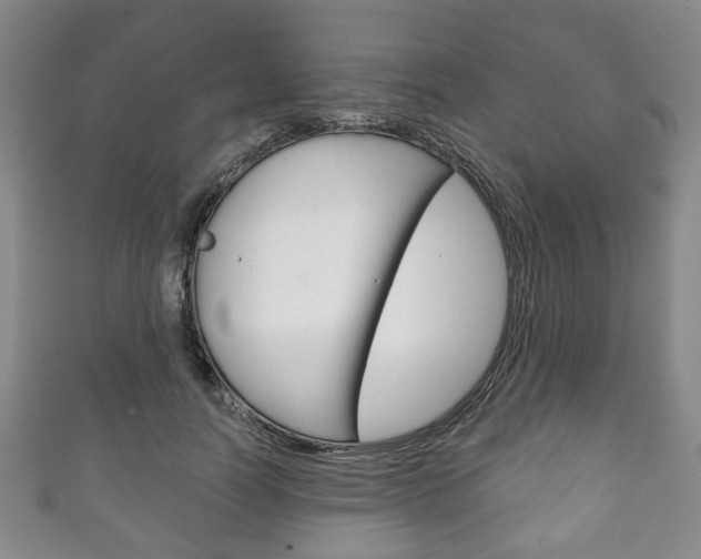 X0000111240746200907020958