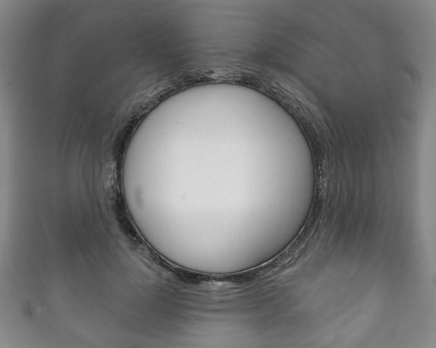 X0000111240748200907020958