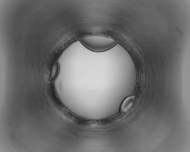 X0000111240750200907020958