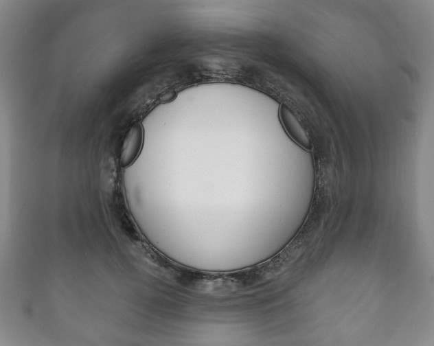 X0000111240752200907020958