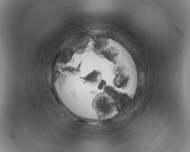 X0000111240753200907020958