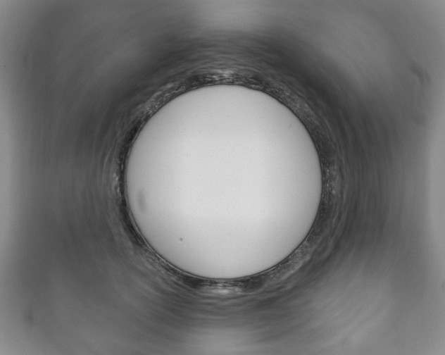 X0000111240754200907020959