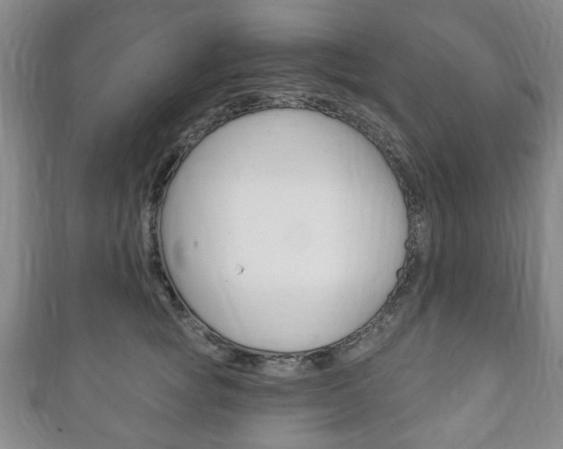 X0000111240757200907020959