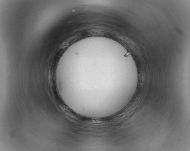 X0000111240759200907020959