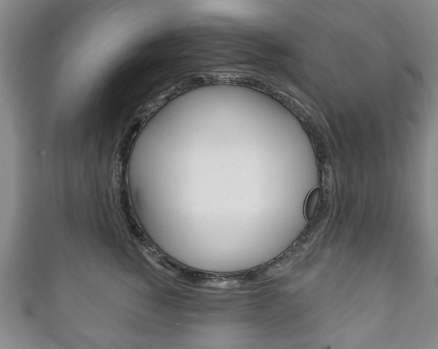 X0000111240760200907020959