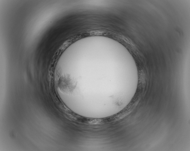 X0000111240761200907020959