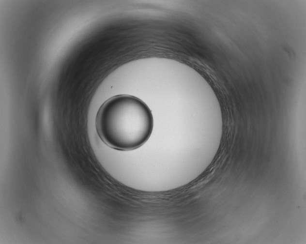 X0000111240762200907020959