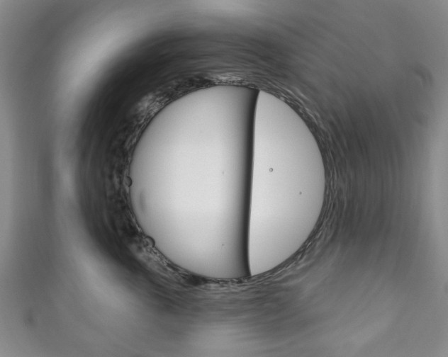 X0000111240763200907020959