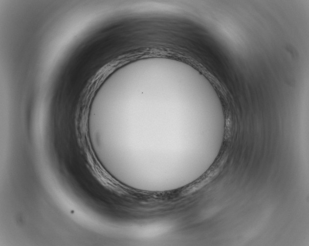 X0000111240765200907020959