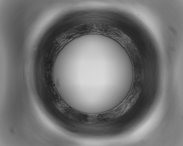 X0000111240766200907020959
