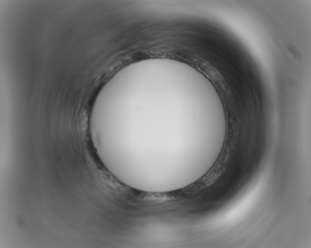 X0000111240767200907020959