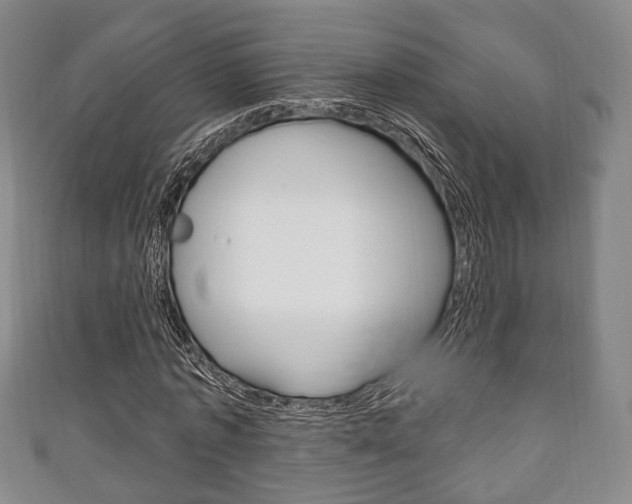 X0000111240773200907020958
