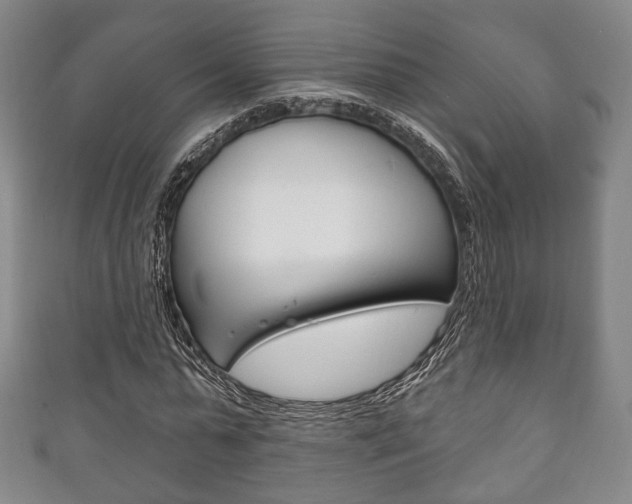 X0000111240775200907020958