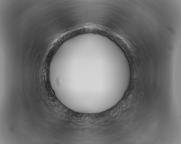 X0000111240776200907020958