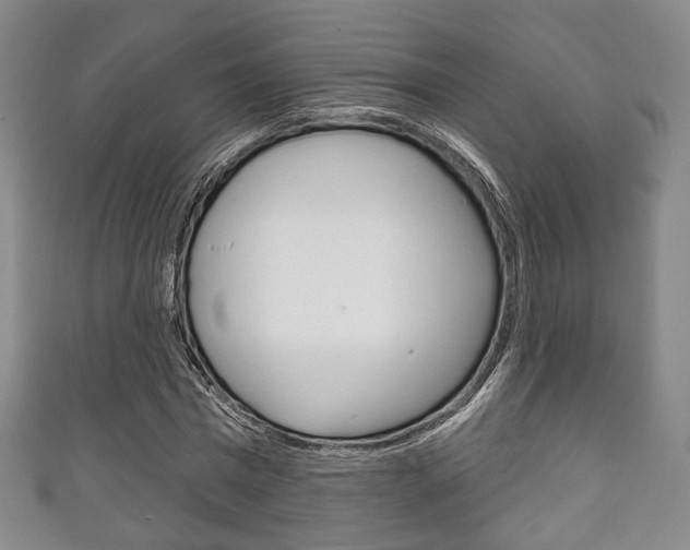 X0000111240777200907020958