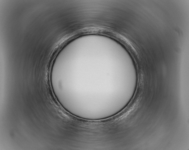 X0000111240778200907020958