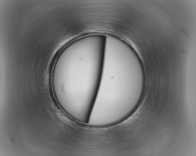 X0000111240779200907020958