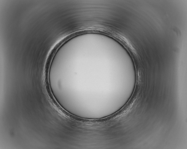 X0000111240780200907020958