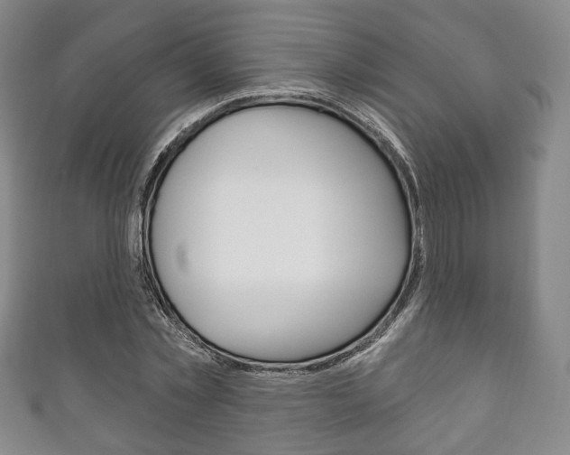 X0000111240781200907020958
