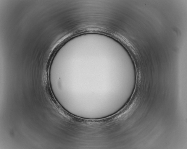 X0000111240782200907020958