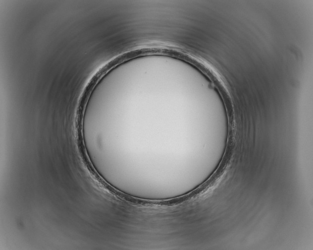 X0000111240783200907020958